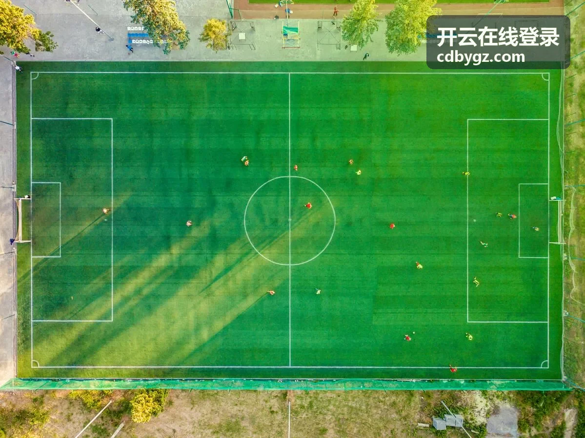 开云在线登录账号安全中心的近期登录记录查询示意