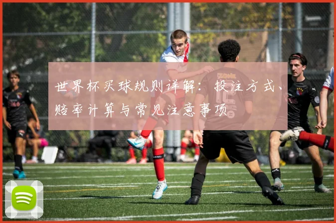 世界杯买球规则详解：投注方式、赔率计算与常见注意事项