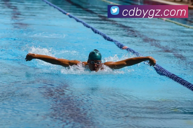 世界杯官方入口服务体系